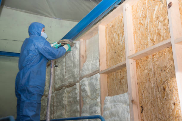 Best Crawl Space Insulation  in Moriches, NY