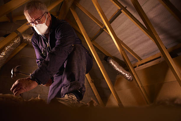 Best Insulation Removal Services  in Moriches, NY